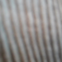 آزمایش هرمز - 21 - 10 - 93