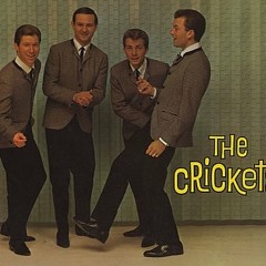 Don't Ever Change (The Crickets)