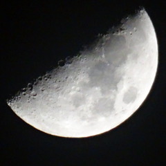 Narcotic - Akkordeon Cover