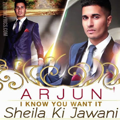 Arjun - I Know You Want It - Sheila Ki Jawani-Feat. Sunidhi Chauhan