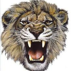 Feed Em To The Lions (dRigz Remix)