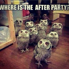 Owl eyes