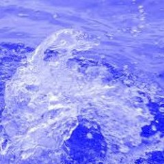 Sophie Shine reprise