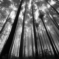 Mystic (Free Track)