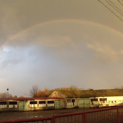 Maciek Sienkiewicz "Walkabout"