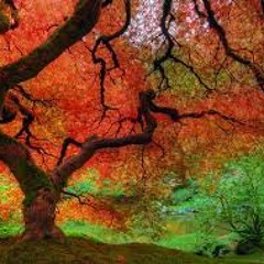 Tema acústico con Fracois (maketa)