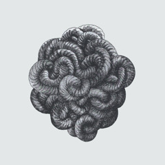 the gordian knot (unfinished)