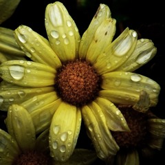 Audio Recording on Thursday night