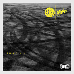 Audio Push ft. Wale "Quick Fast"