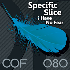 I Have No Fear (Sensi Remix)