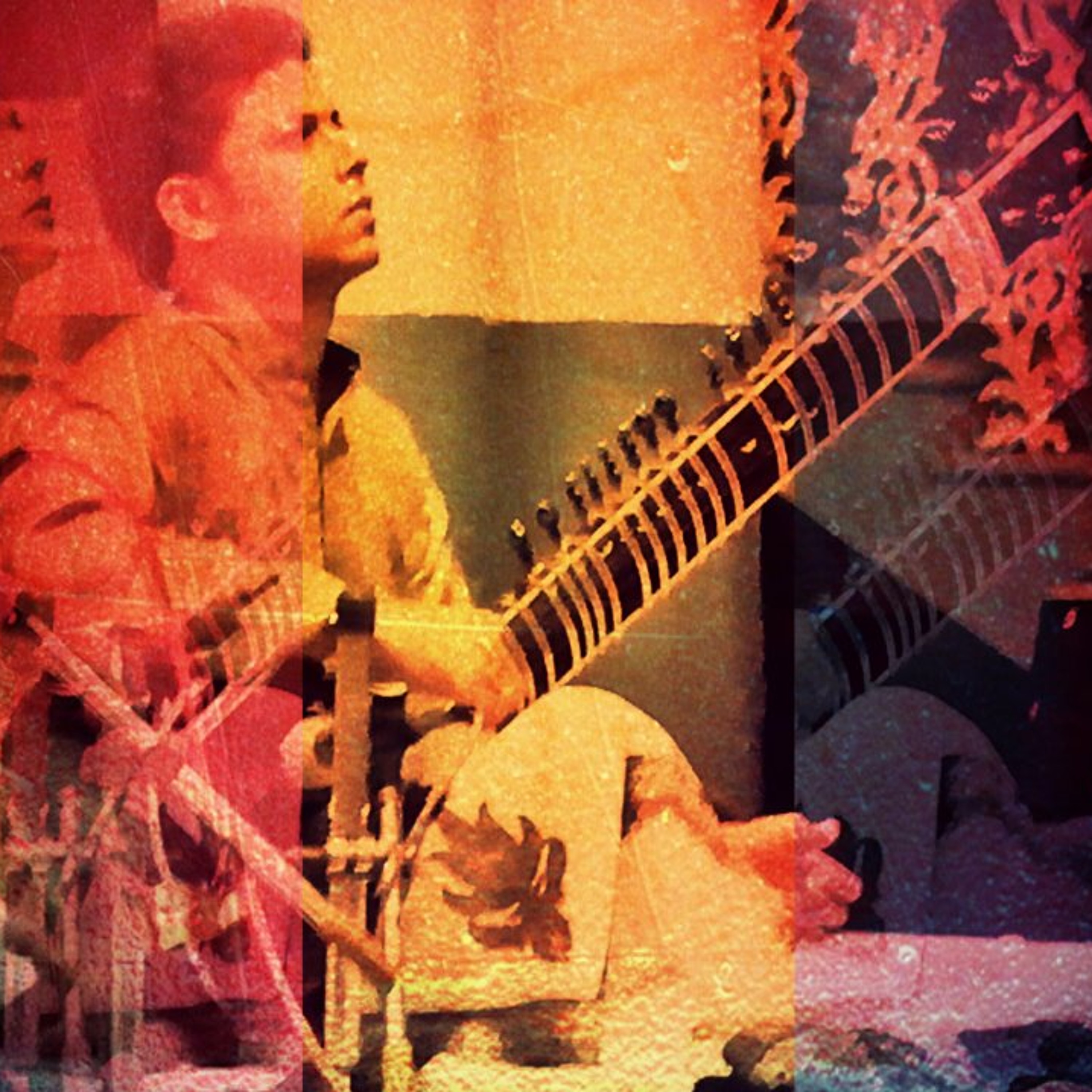 Subhranil Sarkar [Sitar]