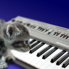 Delicate Sound of Heats