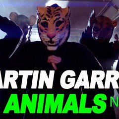 Martin Garrix Animals  Remix Nalyd (house)