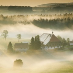نبذة عن المانيا و تصوير الضباب الفنانة : مروة إبراهيم