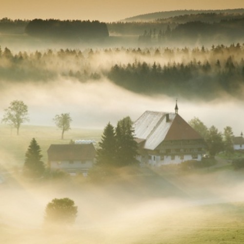 نبذة عن المانيا و تصوير الضباب الفنانة : مروة إبراهيم