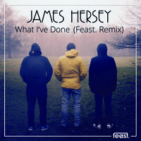 James Hersey - What I've Done (Feast. Remix)