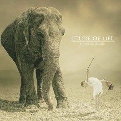 Etude of Life