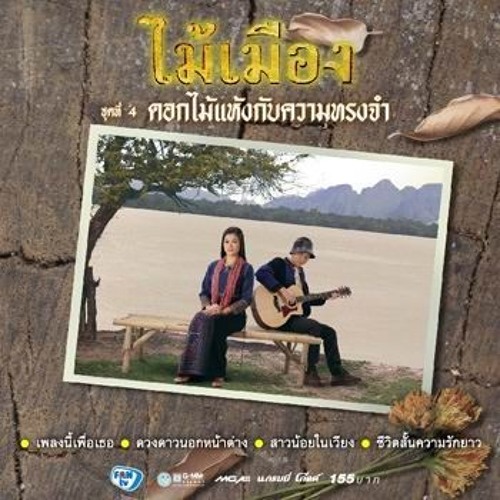 ไม้เมือง - สาวน้อยในเวียง