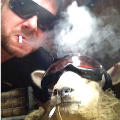 Supermaar's chill out mix / A sheep got a cigarette