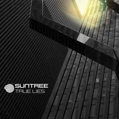 Suntree - True Lies (Original Mix)