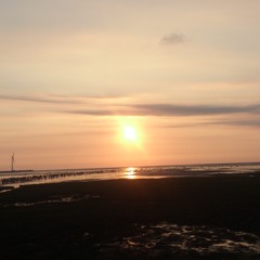 說了再見以後COVER