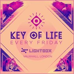 Sven Tasnadi - Lightbox London - Key Of Life - Promo Mix