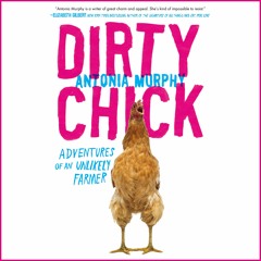 Dirty Chick by Antonia Murphy, Narrated by Antonia Murphy