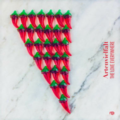 Artenvielfalt - The Love Everywhere (Nicolas Hannig Remix)