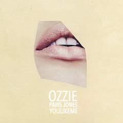 Paris Jones - You Like Me (OZZIE Remix)
