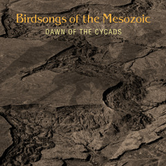Birdsongs of the Mesozoic, "Ptoccata" from 'Dawn of the Cycads' (Cuneiform Records)