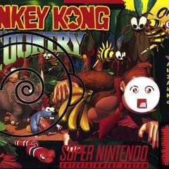 Donkey Kong Country - Aquatic Ambiance (ElmoBeats Cover)