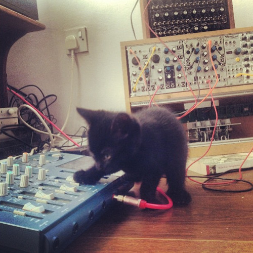 One Unchanging Constant In My World Of Variables