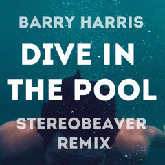 Barry Harris - Dive In The Pool (Stereobeaver Remix)
