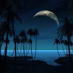 Borgore - Someone Else's (Document One Remix) [DGTL House Flip]