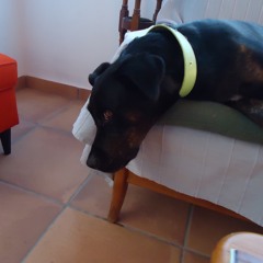 Llamando a tiempo?