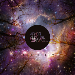 The High Ft Alice Jacq ( David Duriez Remix)
