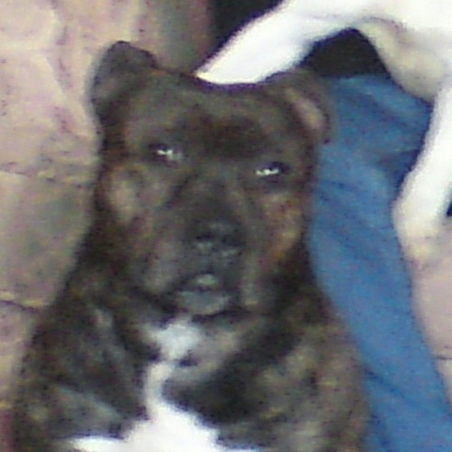 Wigan pier- to late 2 apoligise