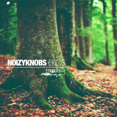Noizyknobs - Ekos