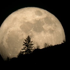 The Moon Song