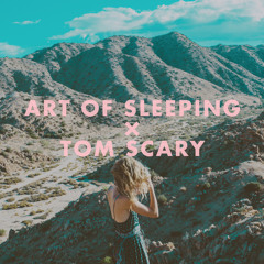Art of Sleeping - Crazy (Tom Scary Remix)