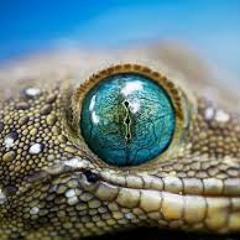 Oliver Heldens Feat Beckie Hill - OverDrive 2015 (Phil Mac & Andy T Remix)