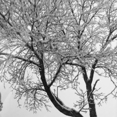 Take Me To The King- Mijh (Fav. Part)