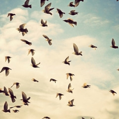 ❝بين الرجا والخوف قلبے طائر❞