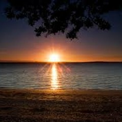 Lost in Thought by Jeff Williams