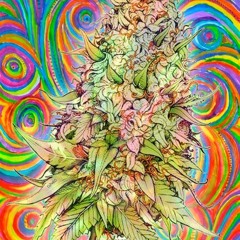 desordeone ft seizor ft kadaber