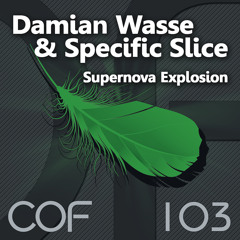 Supernova Explosion (with Damian Wasse)