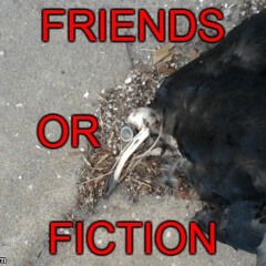 Friends Or Fiction