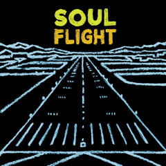 Som Serious - Soul Flight
