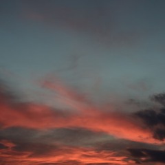 Phoenix ft. Frank.e Sensei / Leak