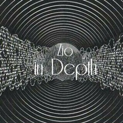 Zio -  In Depth